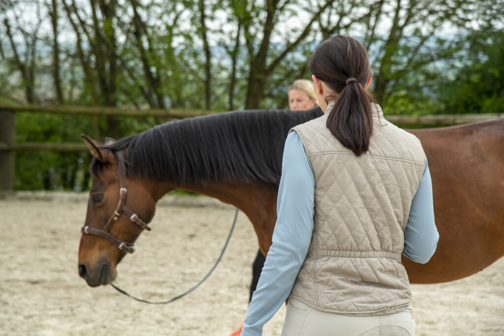 Systemisches Pferdecoaching Lautzenbrücken Horsilience Sandra Ulbrich